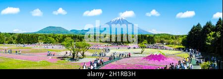 Yamanashi, Japan - 12. Mai 2016: Die Fuji mit dem Bereich der rosa Moos am Shibazakura Festival, Yamanashi, Japan Stockfoto