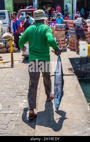 Male, Malediven - 21. November 2017: Der Fischer bringt einen großen Fisch zum Fischmarkt, der in Male Island, Malediven, Asien verkauft wird. Fischmarkt in Male Stockfoto