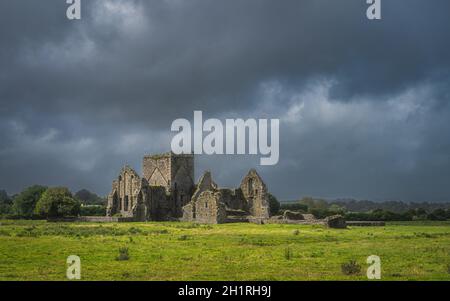 Alte Ruinen von Hore Abbey, beleuchtet von Sonnenlicht mit dunklem, dramatischem Sturmhimmel. Das Hotel liegt neben dem Schloss Rock of Cashel, County Tipperary, Irland Stockfoto