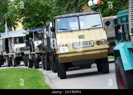 Treffen von Steyr-Puch Haflinger Geländewagen in Bad Ischl, Österreich, Europa - Treffen der Steyr-Puch Haflinger Geländewagen in Bad Ischl, Austr Stockfoto