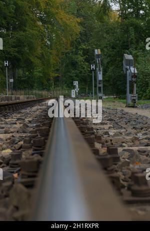 Bahn von der deutschen Trai genannt Molly in der Nähe der deutschen Stadt Bad Doberan, Mecklenburg-Vorpommern Stockfoto