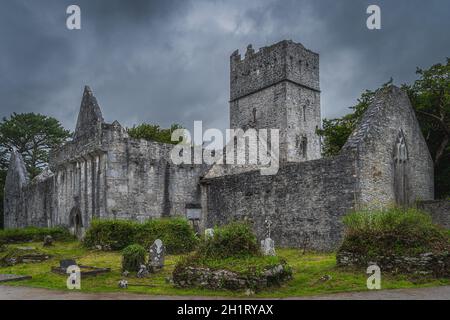 Ruinen des alten Klosters aus dem 15th. Jahrhundert, Muckross Abbey ist eine der wichtigsten kirchlichen Stätten im Killarney National Park, Kerry, Irland Stockfoto