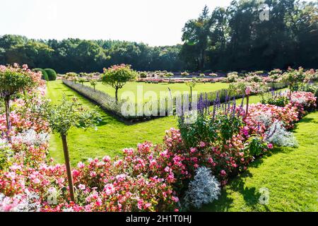 Ein schöner, vielfarbiger Blumengarten. Figuren aus Blumen. Hochwertige Fotos Stockfoto