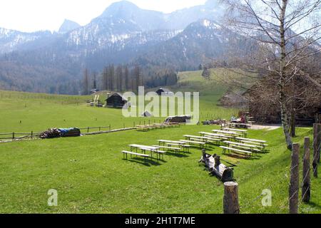 Eisenau-Alm Sankt Gilgen, Salzburg, Österreich, Europa - Eisenau-Alm Sankt Gilgen, Salzburg, Österreich, Europa Stockfoto