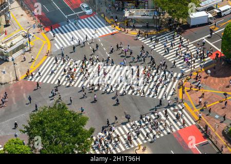 Shibuya Crossing von oben Tageszeit in Tokio, Japan Stockfoto