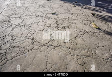 Gestanzter Betonpflaster im Freien, flache Felsbrocken und abgerundete Kanten Steinmuster, Bodenbelag außen, dekorativer Zementpflaster Stockfoto