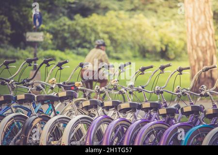 Reihe von Fahrrädern in der Vermietung Agentur, Stadt Mobilität Stockfoto