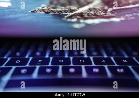 Leuchtendes blaues Bild der Laptop-Tastatur. Drehort: Präfektur kanagawa, Yokohama-Stadt Stockfoto