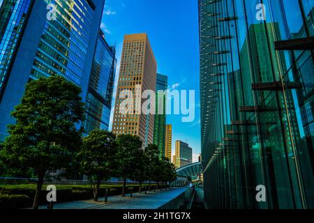 Minato-ku und die Gruppen der Gebäude von Shiodome. Aufnahmeort: Metropolregion Tokio Stockfoto