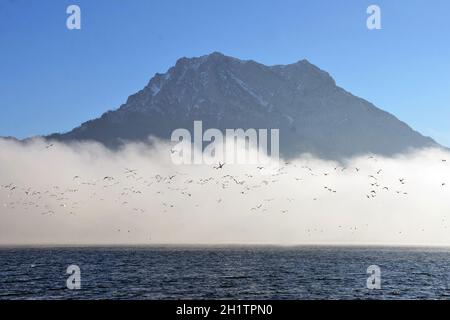 Herbstlicher Nebel über dem Traunsee, im Hintergrund der Traunstein, Österreich, Europa - Herbstnebel über dem Traunsee, im Hintergrund die Traunste Stockfoto