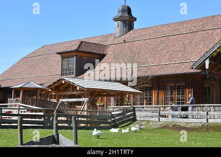 Gut Aiderbichl in Salzburg, Österreich, Europa - gut Aiderbichl in Salzburg, Österreich, Europa Stockfoto