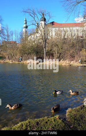 Teich beim Kloster Puchheim im Frühjahr, Österreich, Europa - Teich im Kloster Puchheim im Frühjahr, Österreich, Europa Stockfoto