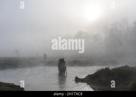 SAURAHA, NEPAL - CA. DEZEMBER 2014: Touristen machen eine Elefantensafari im Chitwan Nationalpark. Stockfoto