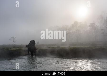 SAURAHA, NEPAL - CA. DEZEMBER 2014: Touristen machen eine Elefantensafari im Chitwan Nationalpark. Stockfoto