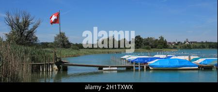 Schweizer Flagge und Boote, Sommer-Szene im Kanton Zürich Stockfoto