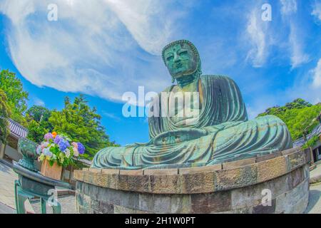 Frühsommer des Großen Buddha von Kamakura, der in frisches Grün gehüllt war. Aufnahmeort: Kamakura, Präfektur Kanagawa Stockfoto
