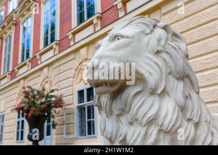 Lancut, Polen - 26. August 2020: Statue eines steinernen Löwen vor dem barocken Schloss Lancut aus dem 16. Jahrhundert, der ehemaligen Residenz des polnischen Magnaten. Stockfoto