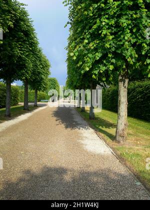 Eine Allee, idyllische Landschaften, die von Menschen gepflanzt wurden Stockfoto