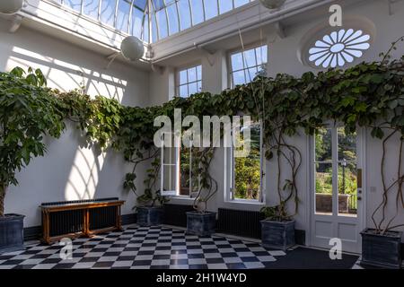 Der Wintergarten im York House Twickenham, England, das derzeit als Rathaus des Londoner Stadtbezirks Richmond upon Thames dient. Stockfoto