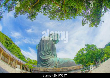 Frühsommer des Großen Buddha von Kamakura, der in frisches Grün gehüllt war. Aufnahmeort: Kamakura, Präfektur Kanagawa Stockfoto