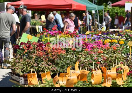 Gartenausstellung 'Gartenlust' im Schloss Bernau, Fischlham, Bezirk Wels-Land, Oberösterreich, Österreich, Europa - Gartenausstellung 'Gartenlust' in Stockfoto