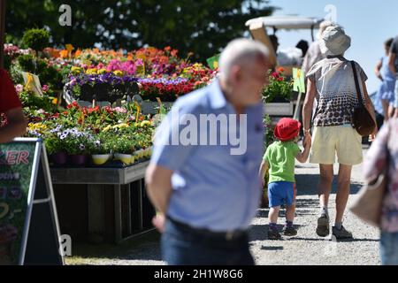 Gartenausstellung 'Gartenlust' im Schloss Bernau, Fischlham, Bezirk Wels-Land, Oberösterreich, Österreich, Europa - Gartenausstellung 'Gartenlust' in Stockfoto