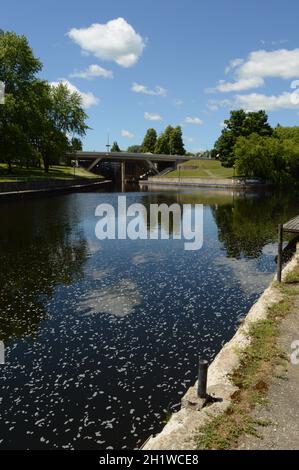 SMITHS FALLS, ONTARIO, CA, 16. JUNI 2021: Blick auf die Beckwith St Bridge, die den Rideau Canal überquert, in Sensational Smiths Falls, Ontario. Stockfoto