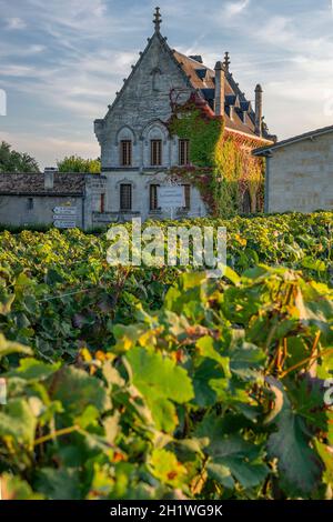 Die Weinberge des berühmten Château La Gaffelière im AOC Saint-Émilion, Frankreich Stockfoto