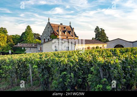 Die Weinberge des berühmten Château La Gaffelière im AOC Saint-Émilion, Frankreich Stockfoto