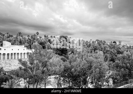 ELCHE, SPANIEN - 29. DEZEMBER 2018: Blick auf den Palmenhain und den Vinalopo-Fluss in der Stadt Elche, Provinz Alicante, Spanien Stockfoto