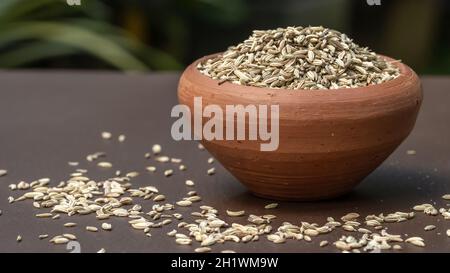 Fenchelsamen in einer kleinen Tonschüssel auf einem alten Holztisch. Fenchelsamen auf dunklem Hintergrund. Stockfoto