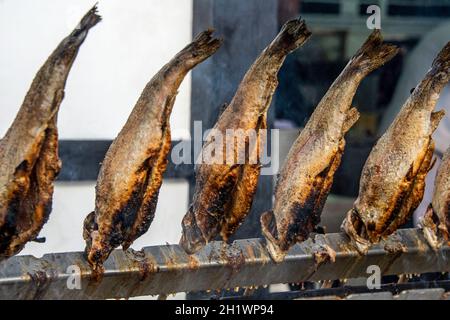 Anordnung vieler Fische auf Stöcken während des Kochens Stockfoto