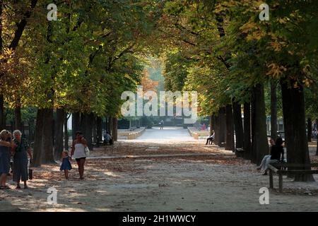 Kastanien Allee in den Gärten von Luxemburg, Paris Stockfoto