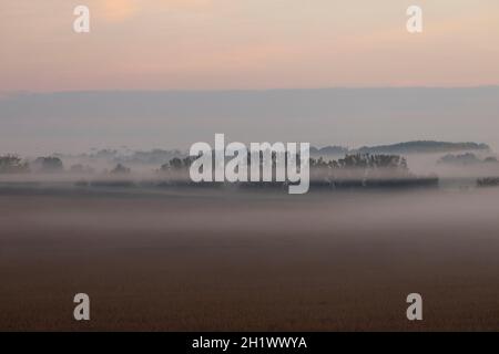 Trockene Kornfelder, die zwischen Dunkelheit und Nebel getaucht sind, sind Teil einer kalten Sonnenaufgangslandschaft mit Bäumen, die im Oktober nahe dem Ebro-Fluss in Aragon, Spanien, liegt Stockfoto