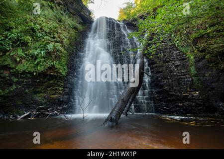 Falling Foss Waterfall im North York Moors National Park Stockfoto