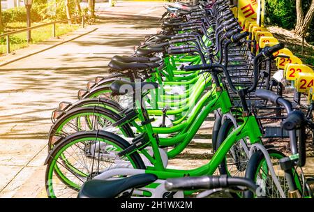 Systeme zur Fahrradfreigabe. Fahrrad zum Mieten von Geschäften. Fahrrad für Stadtrundfahrt am Fahrradparkplatz. Umweltfreundlicher Transport. Städtische Wirtschaft öffentliche Verkehrsgesellschaft Stockfoto