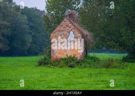 Alte verfallene Farm Gebäude Scheune in verfallenen und getrockneten Vegetation in einem Feld isoliert bedeckt Stockfoto