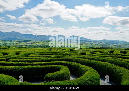 Das Friedenslabyrinth in Castlewellan, Nordirland. Mourne Mountains im Hintergrund Stockfoto