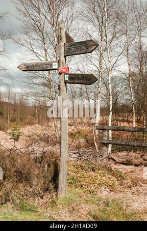 Das Hohe Venn, Hoge Venen, Belgien, Signal Van Botrange Stockfoto