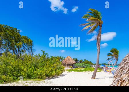 Tropischer natürlicher mexikanischer Strand 88 mit Palmen und Hütte in Playa del Carmen Mexiko. Stockfoto