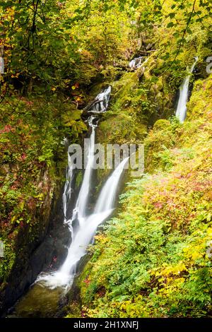 Die Stockghyll Force in der Nähe von Ambleside, Cumbria, fällt etwa 70 Meter weit ab. Stockfoto