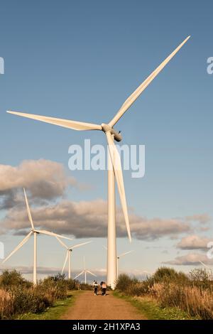 Ein Spaziergang unter einer der 215 Windturbinen im Whitelee Windpark auf Eaglesham Moor in der Nähe von Glasgow, Schottland, Großbritannien, dem größten Onshore-Windpark Großbritanniens Stockfoto
