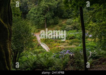 Ein Blick vom High Hex Pfad über die Mallard Bridge im Hydrangea Valley in den subtropischen Trebah Gardens in Cornwall. Stockfoto