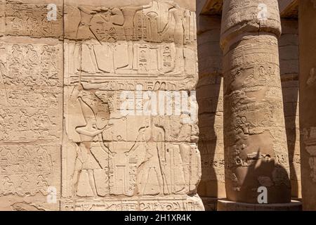 Altägyptische Wandmalereien und Schriften an den Steinmauern des Karnak-Tempels in Luxor Stockfoto