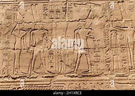 Altägyptische Wandmalereien und Schriften an den Steinmauern des Karnak-Tempels in Luxor Stockfoto