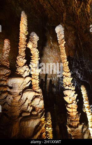 FRANKREICH. LOZERE (48). CAUSSE MEJEAN. DORF HYELZAS. DIE HÖHLE AVEN ARMAND. AUF 50 M UNTER DER ERDE ERHEBEN MEHR ALS 400 STALAGMITEN IHRE STEINSPITZE SE Stockfoto