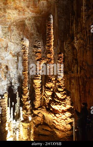 FRANKREICH.LOZERE (48). CAUSSE MEJEAN. DORF HYELZAS. DIE HÖHLE AVEN ARMAND. AUF 50 M UNTER DER ERDE ERHEBEN MEHR ALS 400 STALAGMITEN IHRE STEINSPITZE SEV Stockfoto