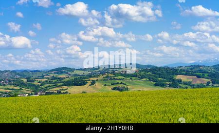 Landschaft in der Nähe der mittelalterlichen Burg von Torrechiara, Provinz Parma, Emilia-Romagna, Italien, im Frühling Stockfoto