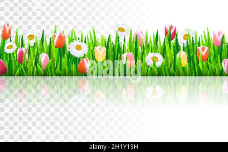 Nahtlose Grenze mit Gras und Blumen, Vektor-Illustration Stock Vektor