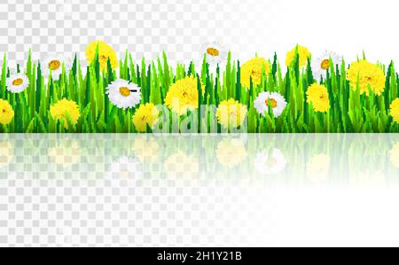 Nahtlose Grenze mit Gras und Blumen, Vektor-Illustration Stock Vektor